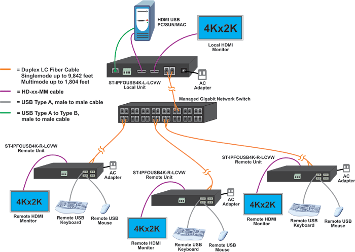 Point-to-Many Connection